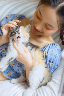 鬓边不是海棠红(ゆきおん)全本
